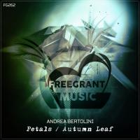 Artwork for Petals / Autumn Leaf by Andrea Bertolini