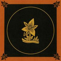 Artwork for Peach Fuzz by Caamp