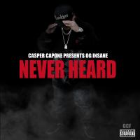 Artwork for Never Heard by OG Insane