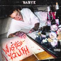 Artwork for Wasted Youth by Baby E