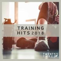 Artwork for Training Hits 2018 by Davidc