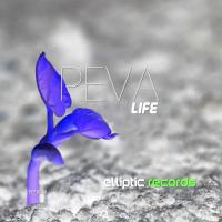 Artwork for Life by Reva