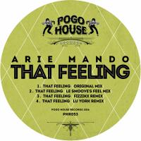 Artwork for That Feeling by Arie Mando