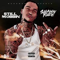 Artwork for Still Mobbin by Shawn Rude