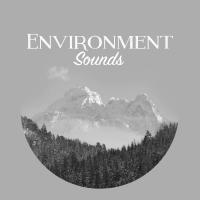 Artwork for Environment Sounds by Nature Sound Collection