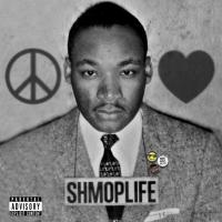 Artwork for Peace, Love, Shmoplife by Kool John