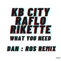 Artwork for What you need (Dan:Ros Remix) by KB City