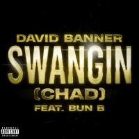 Artwork for Swangin (Chad) by David Banner