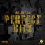 Artwork for Perfect City