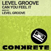 Artwork for Can You Feel It by Level Groove