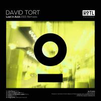 Artwork for Lost In Acid (2015 Remixes) by David Tort