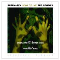 Artwork for Sing To Me (The Remixes) by Pushkarev