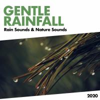 Artwork for Gentle Rainfall by Rain Sounds