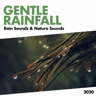 Artwork for Natural Rain (Original Mix)