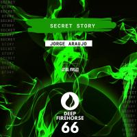 Artwork for Secret Story by Jorge Araujo