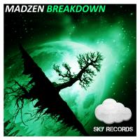 Artwork for Breakdown by MadZen