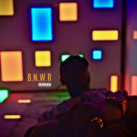 Artwork for B.N.W.R by MeetSims