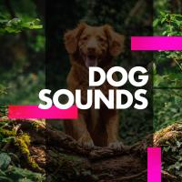 Artwork for Dog Sounds by Dog Music