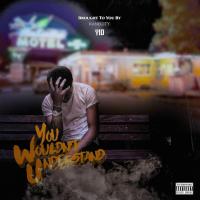 Artwork for You Wouldn't Understand by Yid