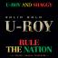 Artwork for Rule The Nation (feat. Shaggy)