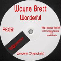 Artwork for Wonderful by Wayne Brett