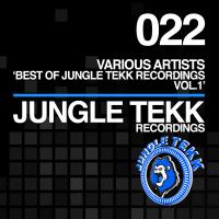 Artwork for Best Of Jungle Tekk Recordings, Vol. 1 by Various Artists