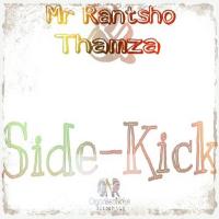 Artwork for Side-Kick by Thamza