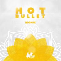 Artwork for Bionic by Hot Bullet