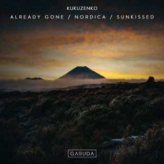 Artwork for Already Gone