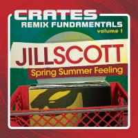 Artwork for Crates: Remix Fundamentals, Vol. 1 (Spring Summer Feeling) by Jill Scott