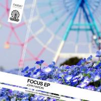 Artwork for Focus by John Hardin