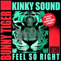 Artwork for Feel So Right by Kinky Sound