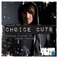 Artwork for Choice Cuts Vol. 004 Mixed by Karlos Cheadle by Various Artists