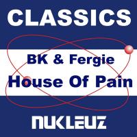 Artwork for House Of Pain by Fergie