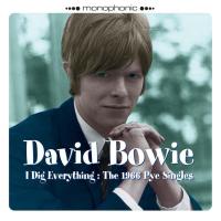 Artwork for I Dig Everything: The 1966 Pye Singles by David Bowie