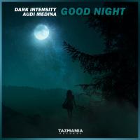 Artwork for Good Night by Dark Intensity