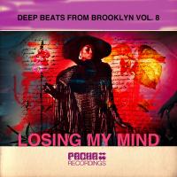 Artwork for Deep Beats from Brooklyn, Vol. 8 by Peter Brown