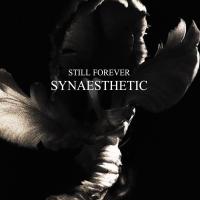 Artwork for Synaesthetic by Still Forever