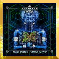 Artwork for Yemaya en Vivo by Realm of House