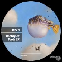 Artwork for Reality of Feels EP by Tony H