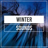 Artwork for Winter Sounds by Rain Sounds