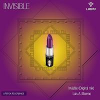 Artwork for Invisible by Luis A. Moreno