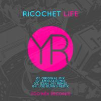 Artwork for Life by Ricochet