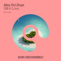 Artwork for Still In Love (Remode) by Alex DJ Zeya