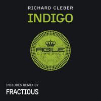 Artwork for Indigo The Remix by Richard Cleber