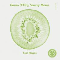 Artwork for Feel Heads by Hassio (COL)