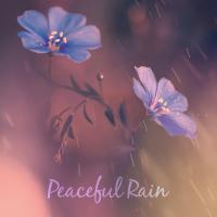 Artwork for Peaceful Rain by Rain For Deep Sleep