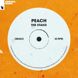 Artwork for The Stand