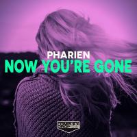 Artwork for Now You're Gone by Pharien