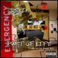 Artwork for Part Of Life by Devin